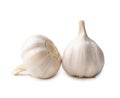 Two fresh white garlic bulbs isolated on white background with clipping path, Thai herb is great for healing several severe Royalty Free Stock Photo