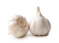 Two fresh white garlic bulbs isolated on white background with clipping path, Thai herb is great for healing several severe Royalty Free Stock Photo