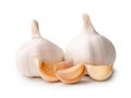 Two fresh white garlic bulbs with segments isolated on white background with clipping path, Thai herb is great for healing several Royalty Free Stock Photo