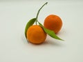 Two fresh, whole mandarin oranges isolated against a white background Royalty Free Stock Photo