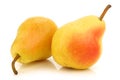 Two fresh Williams pears Royalty Free Stock Photo