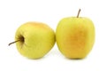Two whole fresh yellow apples Royalty Free Stock Photo