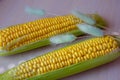 Fresh yellow corn on white table