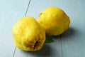 Two fresh yellow quinces