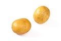 Two fresh, yellow, ripe potatoes, isolated on white background. Royalty Free Stock Photo