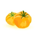 Two fresh yellow tomato with umami flavor. Ripe juicy vegetables are source of minerals, vitamins, dietary fiber.
