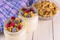 Two portions of fresh yogurt with frozen berries and granola on a white wooden table. Close-up. Royalty Free Stock Photo