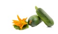 Two fresh zucchini with green leaves and a flower isolated on a white background Royalty Free Stock Photo