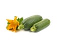 Two fresh zucchini with green leaves and a flower isolated on a white background Royalty Free Stock Photo