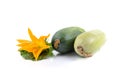 Two fresh zucchini with green leaves and a flower isolated on a white background Royalty Free Stock Photo