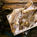 Two freshly caught flatfish in a crate of ice