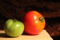 The Season of Tomatoes Royalty Free Stock Photo