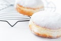 Two freshly made doughnuts filled with jam and covered in powdered sugar on a white background Royalty Free Stock Photo