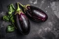 Two freshly picked aubergines eggplants for cooking on dark background, top view, flat lay. Generative AI Royalty Free Stock Photo