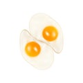 Two Fried Eggs Isolated on White Background Vector Illustration Royalty Free Stock Photo