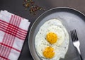 Two fried eggs on toast in plate on wooden table Royalty Free Stock Photo