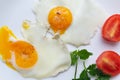 Two fried eggs with tomatoes and herbs on a white plate. Ugly food concept.