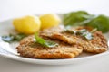 Two fried fish fillet from the flatfish flounder with potatoes, spinach and flat leaf parsley. Close up image with selective focus Royalty Free Stock Photo