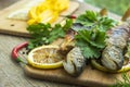 Two fried fish of kind of salmon with aromatic herbs and lemon