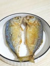 A two of Fried mackerels in a plate on kitchen table Royalty Free Stock Photo