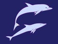 Two friendly dolphins. Vector cartoon cute marine animal illustration, isolated on blue background