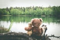 Two friends, bunny and teddy bear are sitting on shore of forest lake, dreaming and remembering. Back view Royalty Free Stock Photo