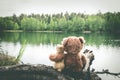 Two friends, bunny and teddy bear are sitting on shore of forest lake, dreaming and remembering. Back view