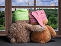 Two friends looking out the window. Panorama of the city. Construction, crane. Toys colorful hats bear cubs. Embrace the . Concept