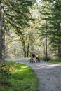 Two friends push their mountain bikes up a wide forest path