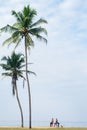 Two friends rest under the palm trees Royalty Free Stock Photo