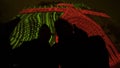 Two friends sitting and drinking beer under cathedral illuminated by lightshow