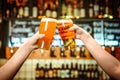 Two friends toasting with glasses of light beer at the pub. Beautiful background of the Oktoberfest. fine grain Royalty Free Stock Photo