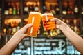 Two friends toasting with glasses of light beer at the pub. Beautiful background of the Oktoberfest. fine grain Royalty Free Stock Photo