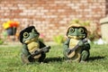 Two frogs play guitar Royalty Free Stock Photo