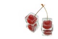 Two frozen cherries Royalty Free Stock Photo