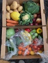 Two fruit and vegetable boxes natures harvest