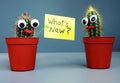 Two funny cactuses and question WhatÃ¢â¬â¢s new