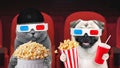 Two funny friends animals cat and dog with 3d glasses are sitting in the cinema and watching a movie. Watching movies together. Royalty Free Stock Photo