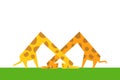 Two funny giraffes look into each other`s eyes in an unusual pose. Orange spotted giraffes on green grass Royalty Free Stock Photo