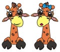 Two funny giraffes