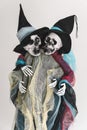 Two funny human skeletons, friendly hugging each other, ghosts in rags and hats. Halloween concept. Close-up. Vertical