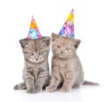 Two funny kittens with birthday hats. isolated on white background