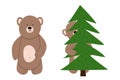 Two funny little bear vector. Bear cub hiding peeks out from behind the tree Royalty Free Stock Photo