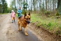 Two funny little sisters walking their dog on a forest hike