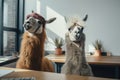 two funny llamas at an interview in the office, realism, Generative AI