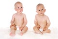 Two funny lovely baby boys sitting together on white background