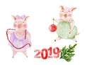 Two funny piglets are going to decorate Christmas tree. 2019 is a year of Yellow Earth Pig against Chinese horoscope.