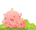 Two funny pigs Royalty Free Stock Photo