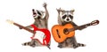 Two funny raccoons with guitars