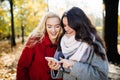 Two funny women friends laughing and sharing social media videos in a smart phone outdoors in autumn park Royalty Free Stock Photo
